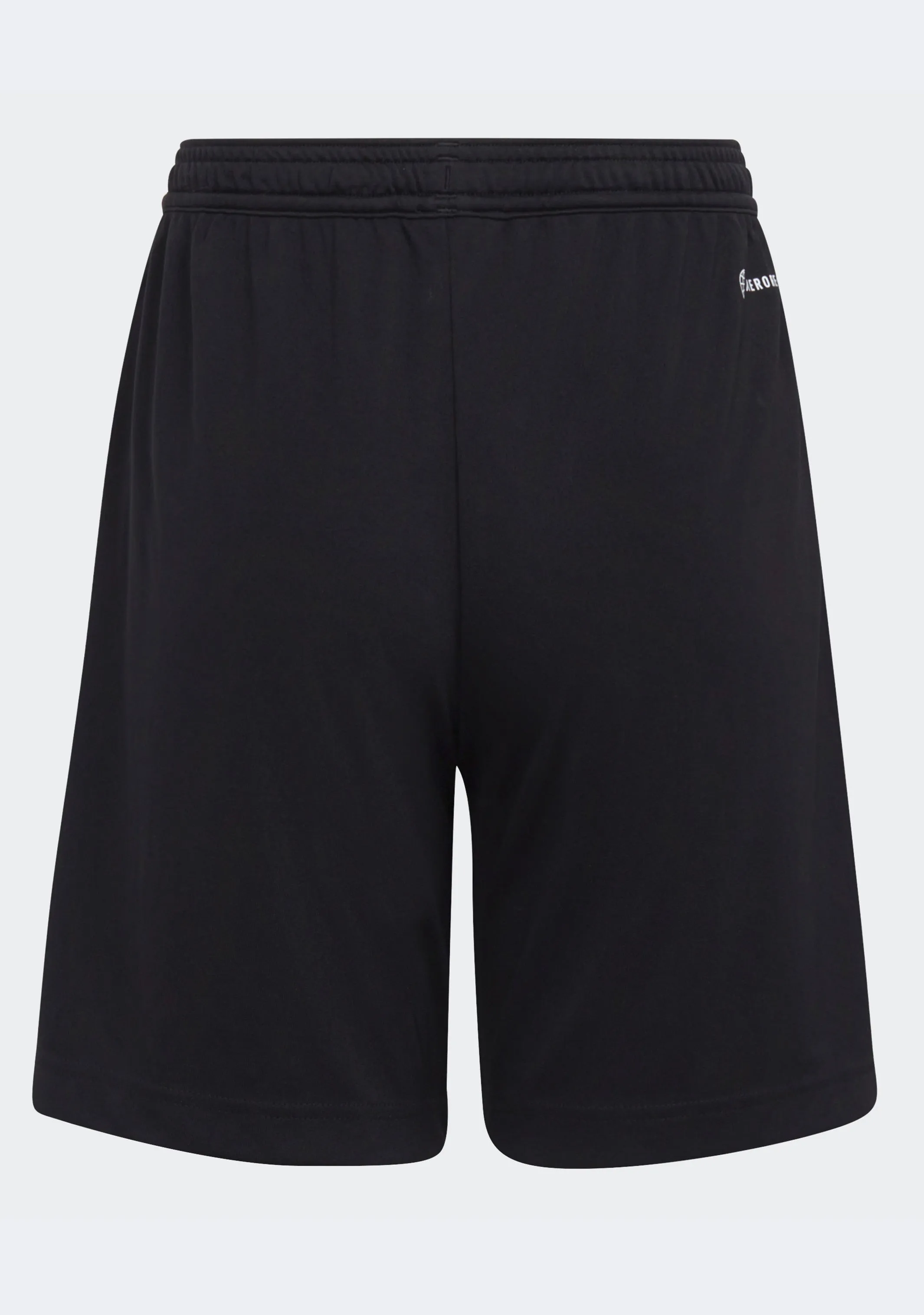 Adidas Junior Entrada 22 Shorts