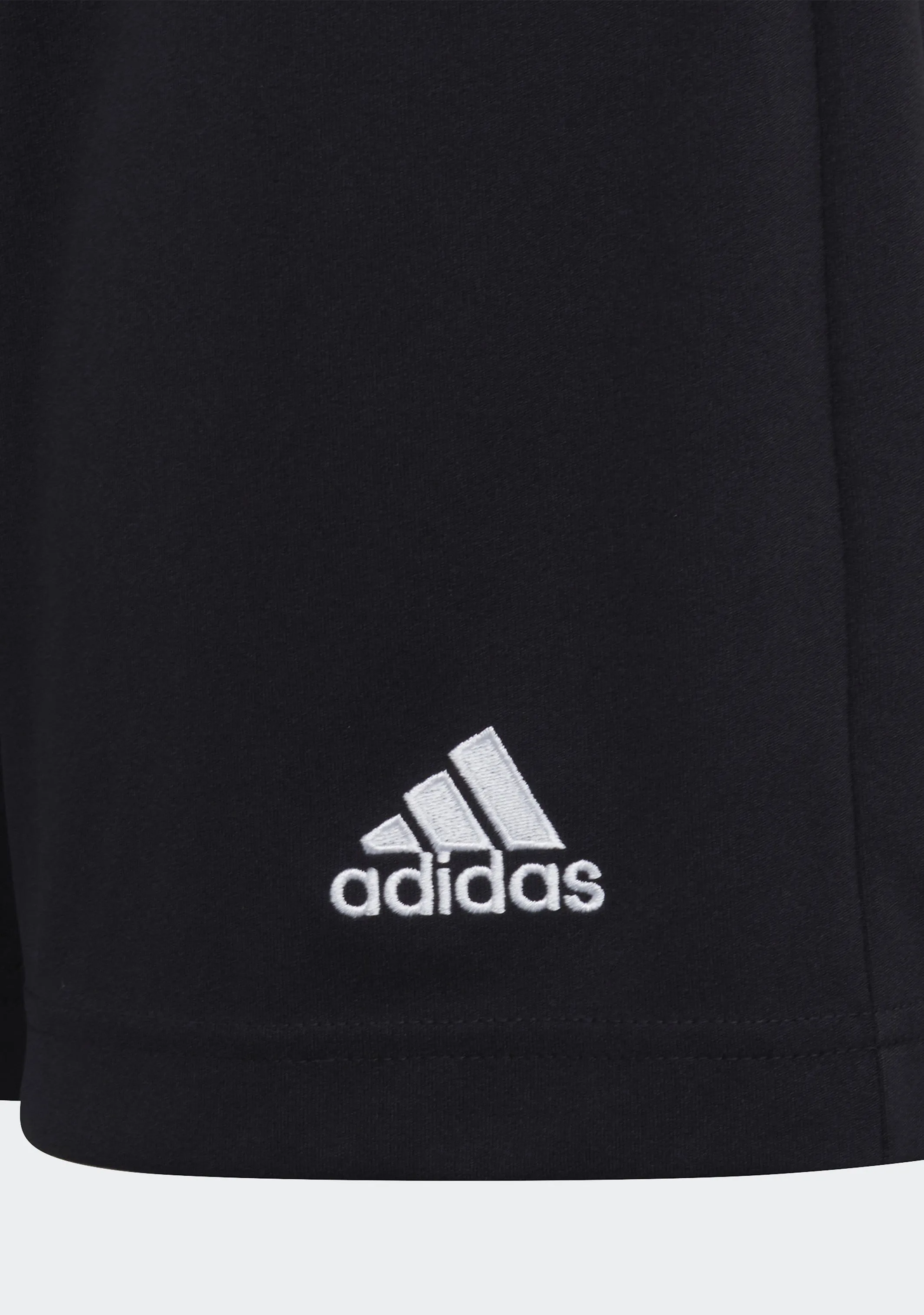 Adidas Junior Entrada 22 Shorts