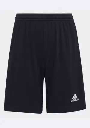 Adidas Junior Entrada 22 Shorts
