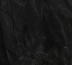 Black Petticoat