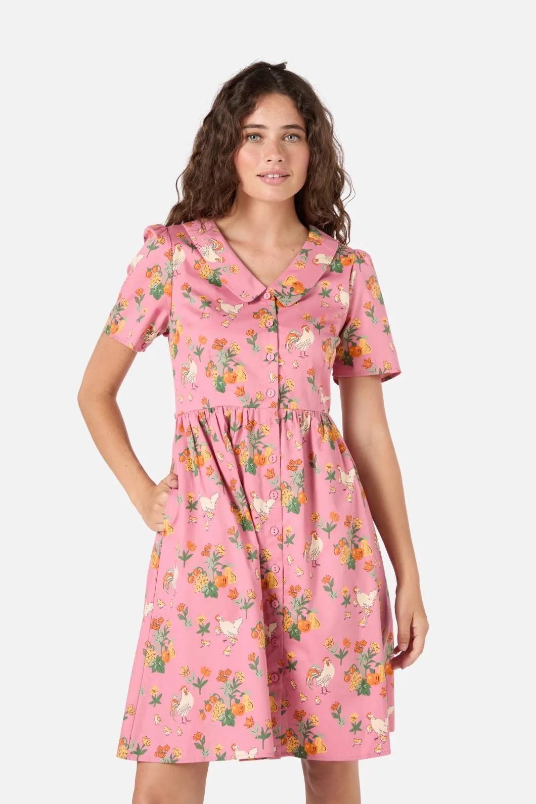 Chickens Mini Shirt Dress