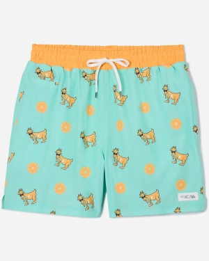 Goat USA Boys' OG Bathing Suit