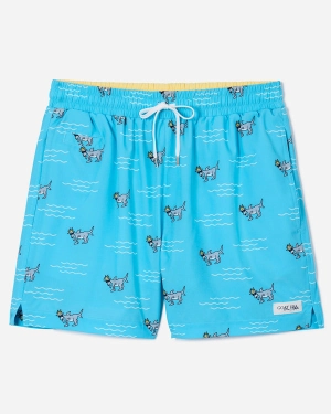 Goat USA Boys' Shark Bathing Suit